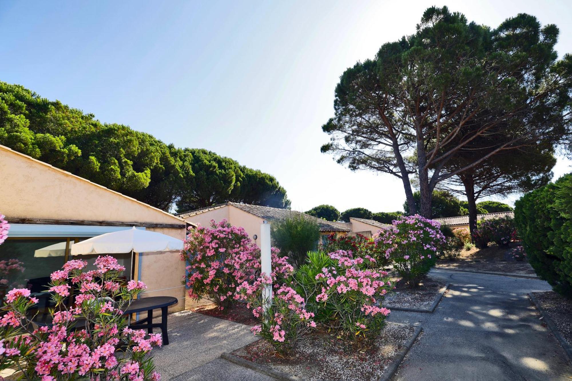 Village Vacances De Ramatuelle - Le Sentier Des Pins מראה חיצוני תמונה