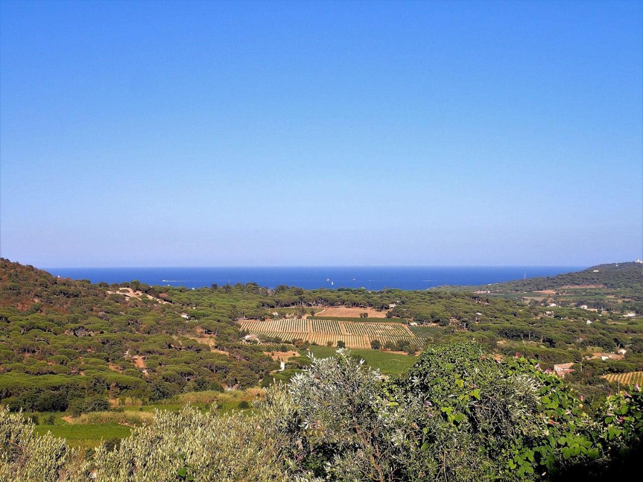 Village Vacances De Ramatuelle - Le Sentier Des Pins מראה חיצוני תמונה